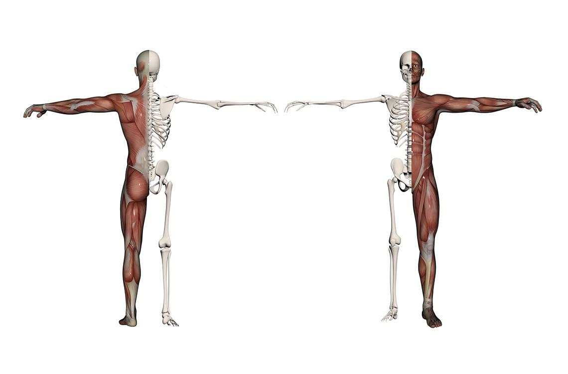 Bone joint muscle disorders
