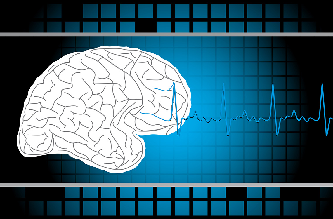 brain nervous system disorders